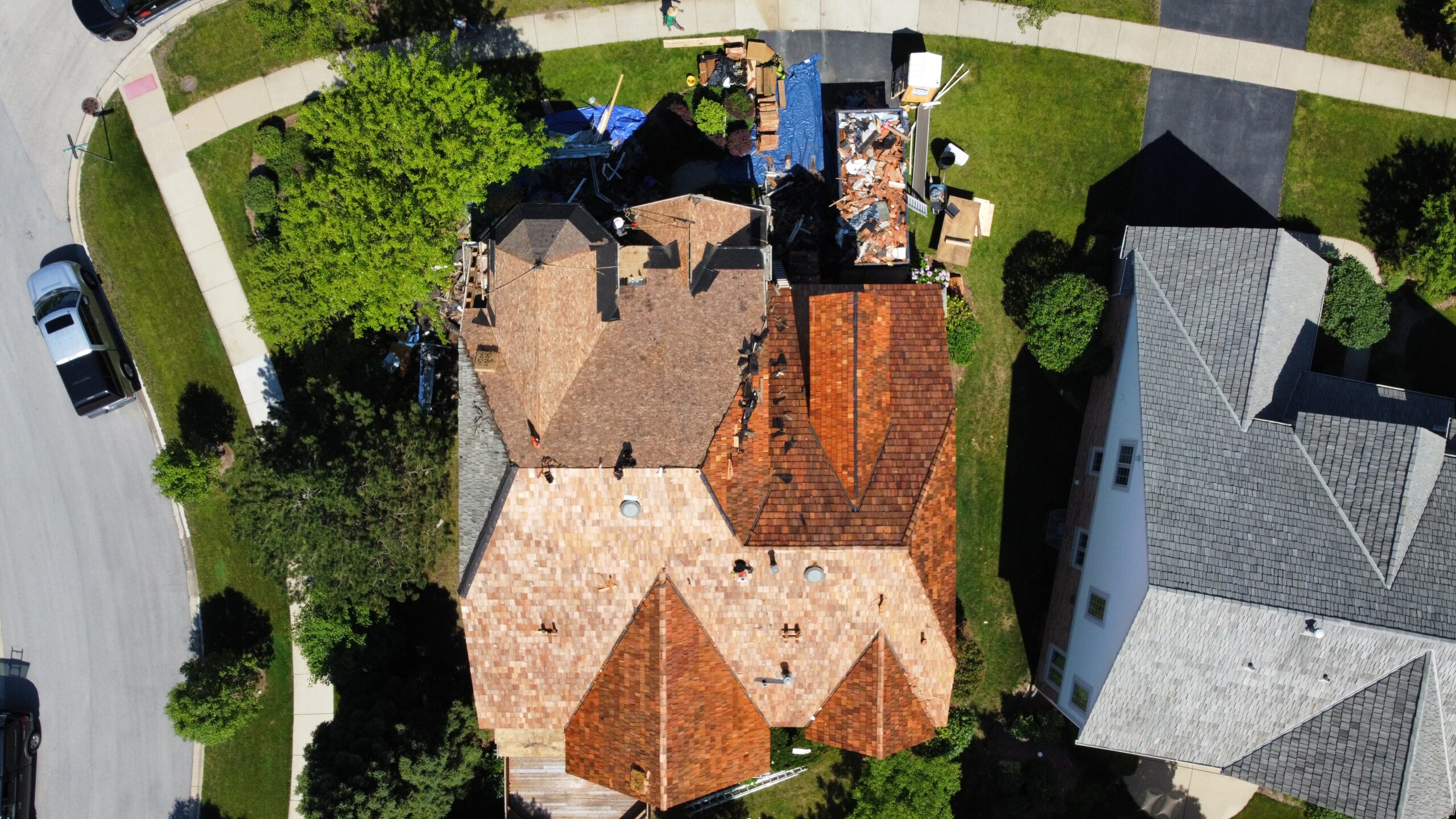 Wolf_Development Slider Image - 24